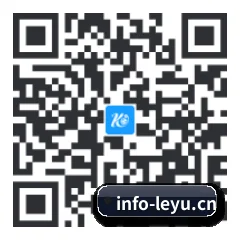 系统版 iOS 二维码